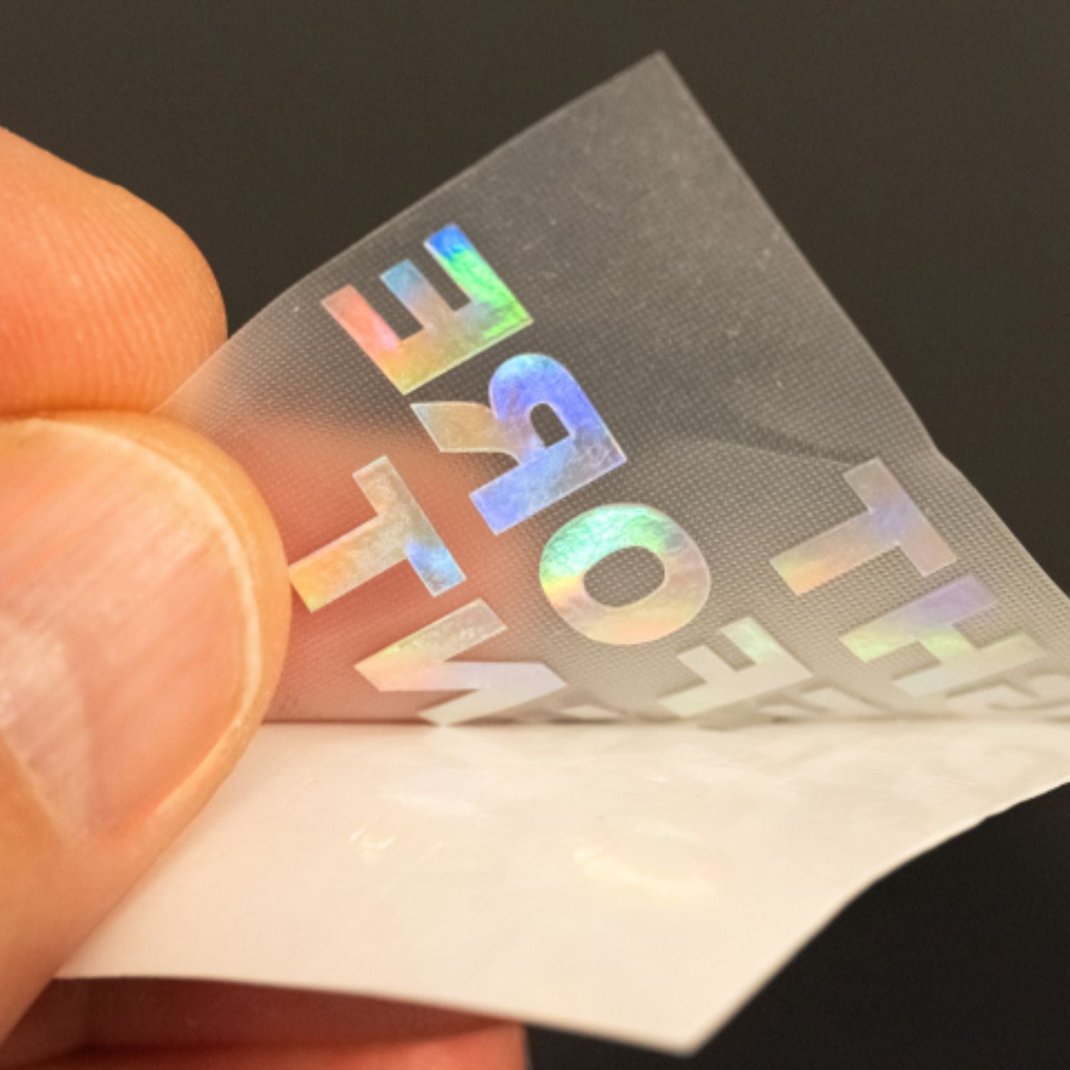 Aufkleber I BOUGHT THIS BEFORE ELON WENT CRAZY. Hologramm-Folie